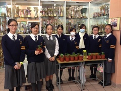CYC Flower & Candy Fundraising Activity