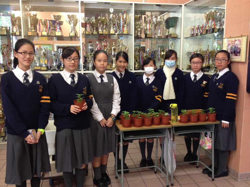 CYC Flower & Candy Fundraising Activity