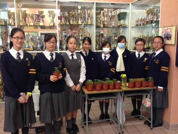 CYC Flower & Candy Fundraising Activity