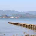IMG_3785.JPG