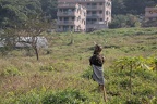 IMG 4870