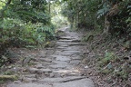 IMG 4883