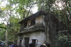 IMG 4887