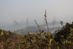 IMG 4918