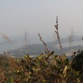 IMG 4918
