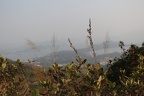 IMG 4918