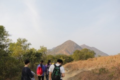IMG 4932