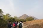 IMG 4932