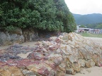 IMG 4181