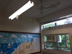 English Society Open Day (6)
