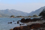 IMG 0080